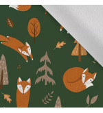 Waterproof T-ZORRO Pants for Boys –  Functional and Durable.